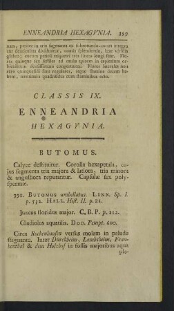 Classis IX. Enneandria
