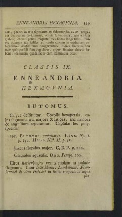 Classis IX. Enneandria