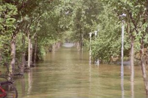 Dresden-Altstadt. Elbe-Hochwasser August 2002. Überfluteter Elbradweg
