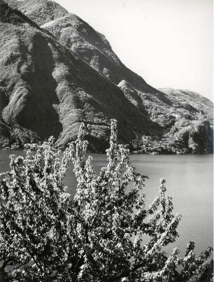 Der Luganer See bei Caprino