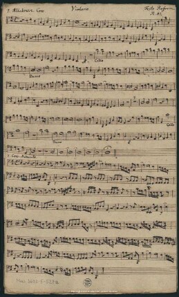 Violono