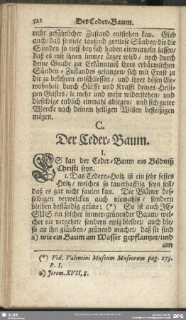 C. Der Ceder-Baum