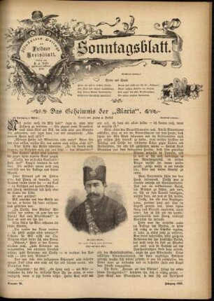 Ausgabe vom Sonntag, den 28. Juni 1896.