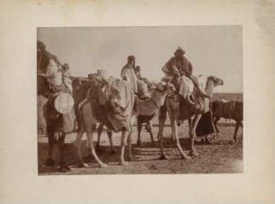Kamelreiter : Männer, die auf Kamelen reiten.