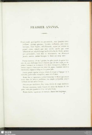 Fraisier Ananas