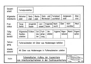 Schematischer Aufbau der Auswertung von Arbeitszeitaufnahmen in der Zuchtsauenhaltung