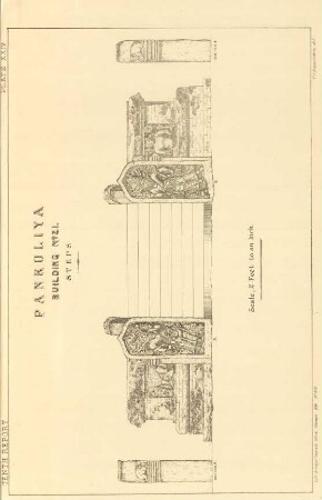 Plate XXIV. Pankuliya. Building No. 21. Steps.