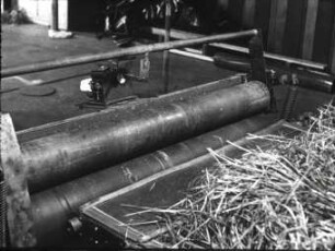 Schwadversuche 1968/69; Halmgutaufbereitungsanlage mit der Walzenkombination: ; obere Walze glatt/Stahl; untere Walze glatt/gummiert