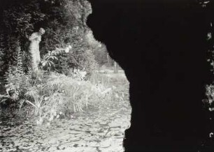 Nymphe nach dem Bade : Seerosenteich. Am Ufer die Statue einer Nymphe nach dem Bade (wohl in einem Park)