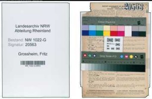 Entnazifizierung Fritz Grossheim , geb. 06.11.1907 (Stukkateur)