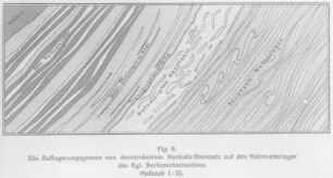 Die Auflagerungsgrenze von deszendentem Hartsalz-Steinsalz auf dem Kalimutterlager des Berlepschschachtes (Everding) : Geologie | Geologie der Salzlagerstätten