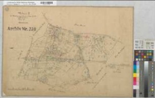 Epe (Gronau), Umlegung Epe, Urkarte 1 Flur 10