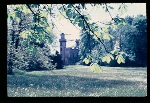 Pfaueninsel 19.5.55.
