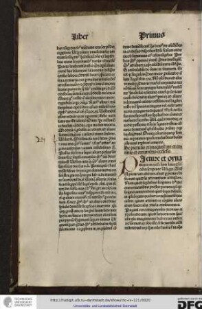 De picturis et imaginibus et cortinis et ornamentis ecclesie.