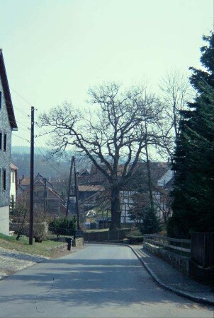 Alte Poststraße; im Hintergrund die "Friedenseiche"