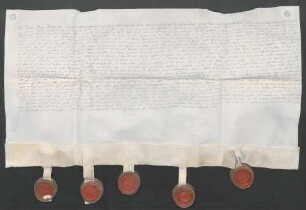 Instrumentum probationis Franz Lothar Ludwig von Coudenhovens.