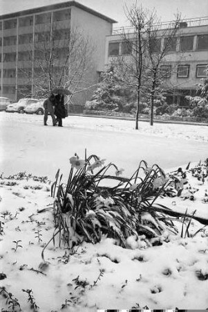 Verspäteter Wintereinbruch mit starkem Schneefall