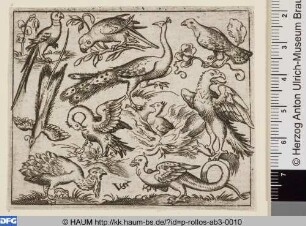 Zehn Vögel, in der Mitte Phönix und Pfau