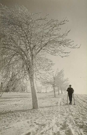 Erzgebirge. Skiläufer auf der Straße Schellerhau - Rehefeld