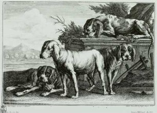 Jagdhunde