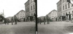 Herbstmanöver der Königlich-Sächsischen Armee : Seifhennersdorf (obersorbisch Wodowe Hendrichecy), Einquartierung im Ort. Vorführen der Pferde am Kretscham