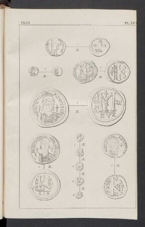 Pl. XVI