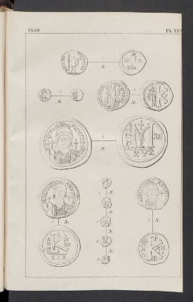 Pl. XVI