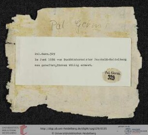 Fragmente: Missale (?), Druck (ausgelöste Klebepappe)
