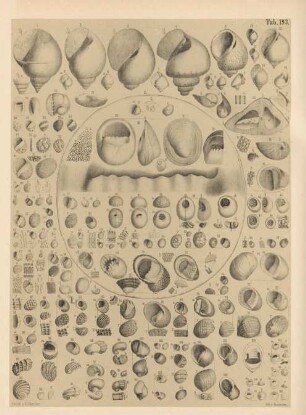 Tab. 193