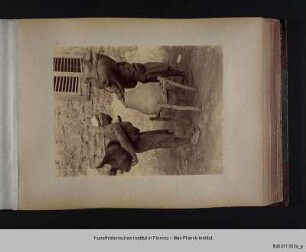 Vedute von Wasserträgern in Kairo - Egypte I