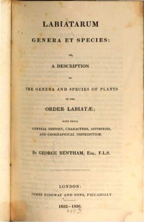 Labiatarum Genera et Species: or, a description of the genera and species of plants of the order labiatae : with their general history, characters, affinities, and geographical distribution