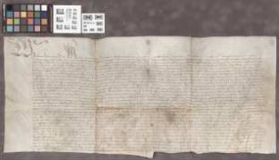 Friedberg: Vidimus über der Stadt Friedberg Freiheit vom Rottweil'schen Gericht