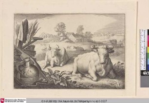[Liegende Kühe; Cows Lying Down]
