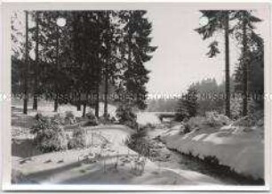 Winterlandschaft, Harz