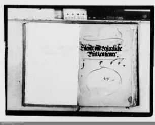 . Erhebung von Türkensteuern: Band 2