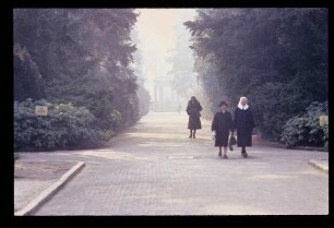 Parkfrdhf. Lichtfld. 2.3.85.