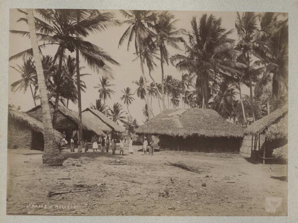 Street in Magogoni