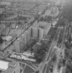 Stübelallee in der Pirnaischen Vorstadt in Dresden : Blickrichtung Osten