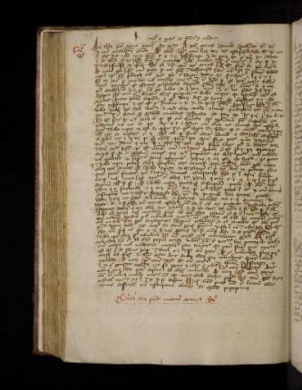 Circa capitulum 'Petitio' de homicidio (X 5.12.24) secundum Calderinum