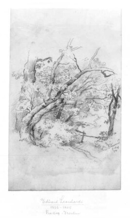 Weg mit Bäumen : Weg mit Bäumen. Bleistiftzeichnung; 20,2 x 12,3 cm (1874; E. Leonhardi). Freiberg: Stadt- und Bergbaumuseum 58/122