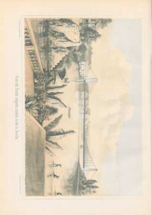 Ano 1, Num. 6 - 15 de Mayo de 1859