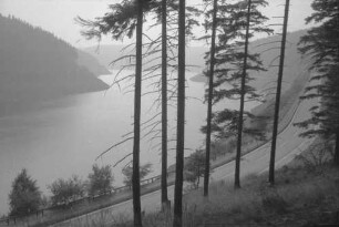 Okertal: Stausee und Straße