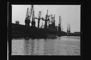 Cap Bizerta ex Inga Bastian (1977), Frachtschiff, Reederei Helmut Bastian, Haren, Bau-Nr. 557