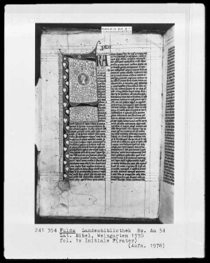 Lateinische Bibel — Initiale F (rater), darin ein Medaillon mit Kopf, Folio 1verso