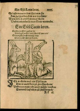 Ein Esel Latin leren.