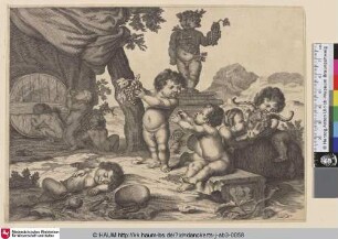 [Putti bei einem Weinfass, zechend, mit Trauben spielend und schlafend]