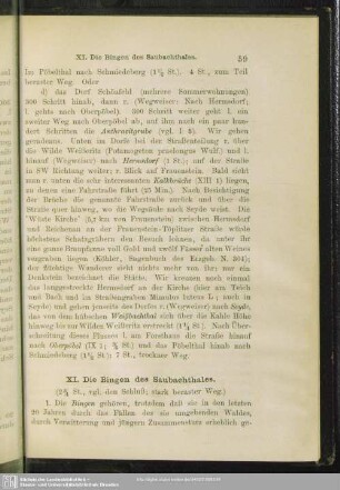 XI. Die Bingen des Saubachthales