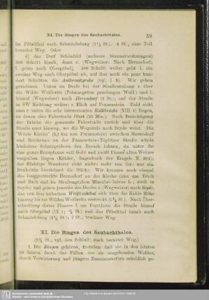 XI. Die Bingen des Saubachthales