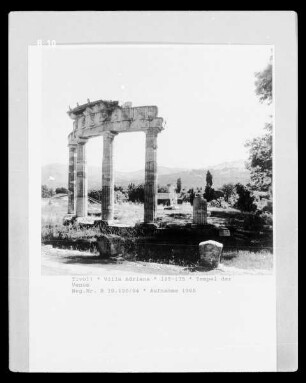 Tempel der Venus