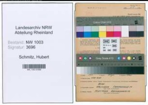 Entnazifizierung Hubert Schmitz , geb. 04.03.1888 (Fahrer)